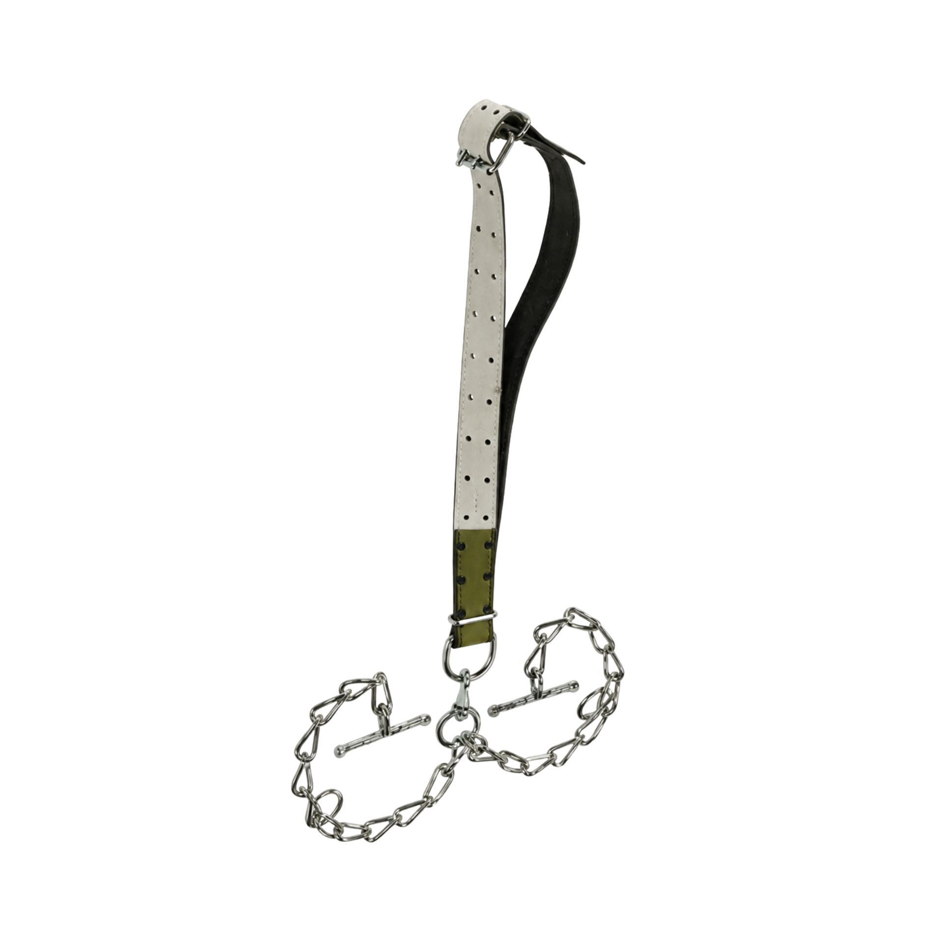 Bullenanbindung, Halsband mit Kette